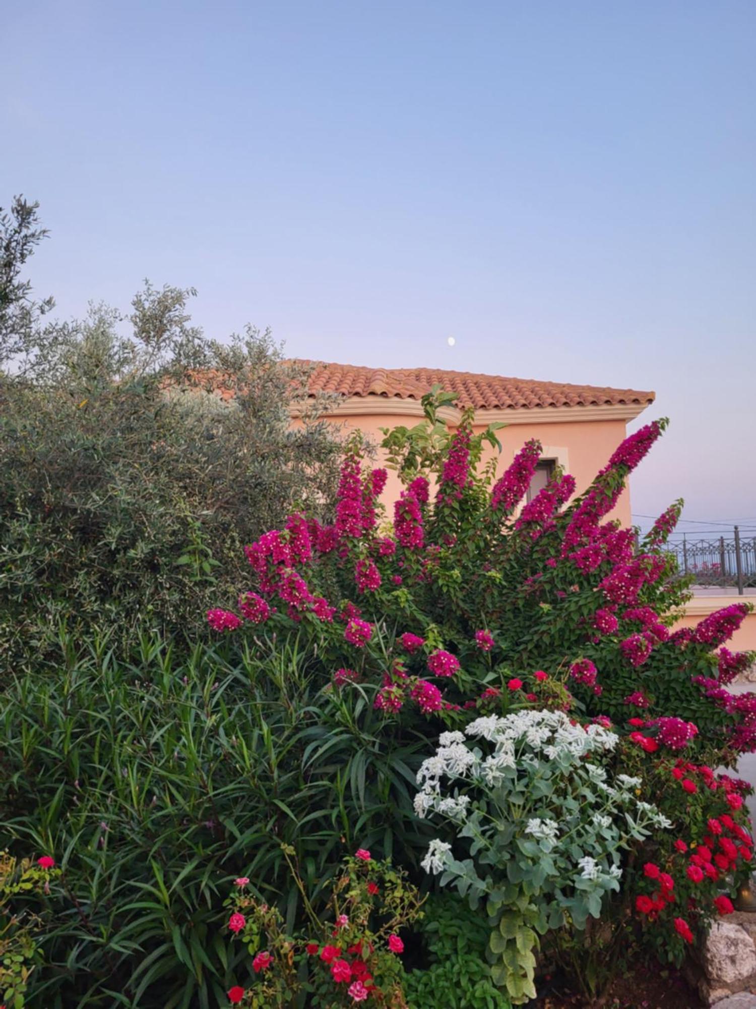 Korallis Villas Karavádhos Exterior foto